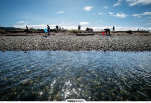 <strong>Surfrider beach clean at Whiffin Spit</strong> ∙ <a href="/whiffin-spit-beach-clean/">click here for the full story (and video)</a>