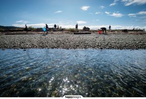 <strong>Surfrider beach clean at Whiffin Spit</strong> ∙ <a href="/whiffin-spit-beach-clean/">click here for the full story (and video)</a>